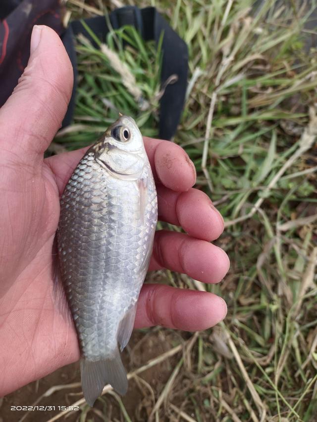 |前有姆巴佩的帽子戏法,今有旅li三戏大板鲫