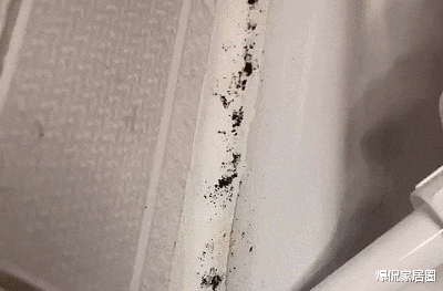 水槽|水槽周边发霉怎么办？不用换玻璃胶，教你正确方法，霉斑自动消失