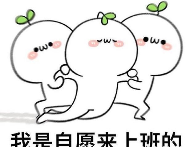 招聘|123未来教育平台:离谱!公司招人“不要工资,用爱发电”