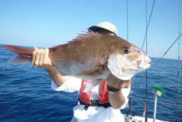 解缙|越来越多人青睐海钓,钓鱼的旅行之旅,海钓安全可能殃及生命
