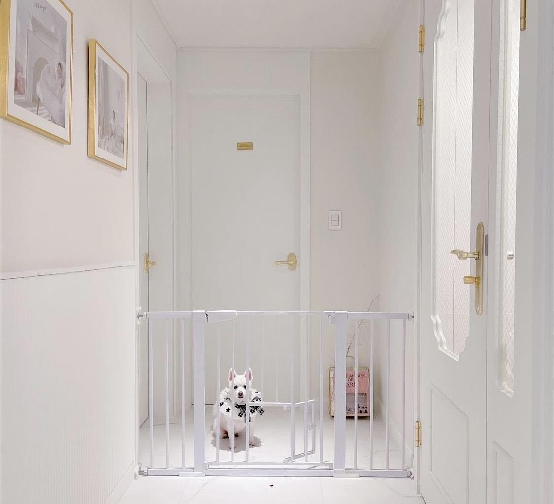 走进这位韩国太太的家,让我看到家的无限可能性,美得超乎想象!