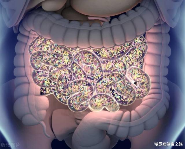 卵巢癌|糖尿病人容易肚子胀怎么办?往往因为这5点,做好6点可以改善