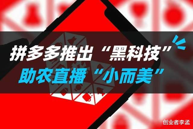 拼多多|拼多多是科技公司吗,网络科技就是科技公司呀,为啥网友说不是呢