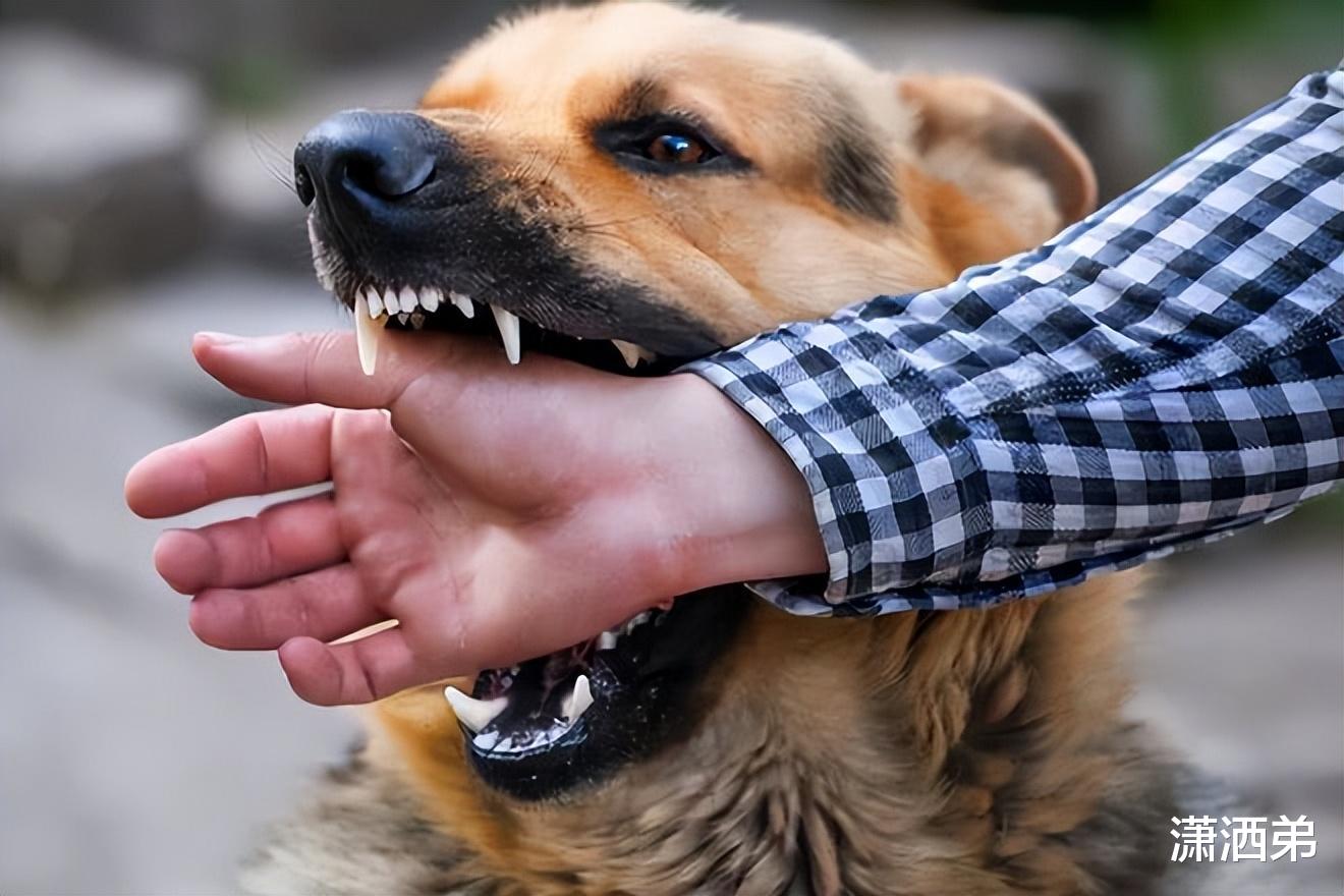 一男子学狗叫并咬人,被咬路人吓得赶紧去医院打狂犬疫苗