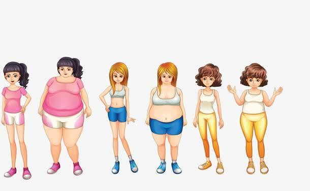 芹菜 减肥不能嗑“瓜子”？坦白说：不想腹部长赘肉，4种主食莫贪吃