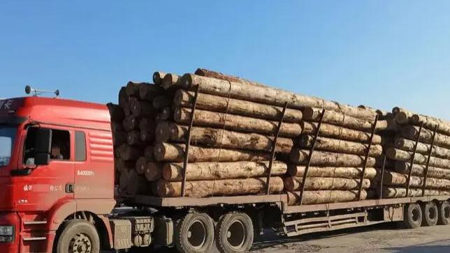 陕西西安，司机师傅拉了一车木材，送达目的地后货主称送错了，改要求让他送往其地方