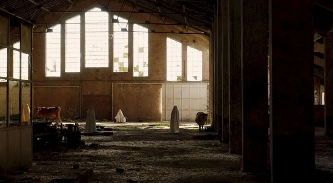 电影|意识流的恐怖片，谁不想看？