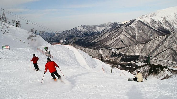 |日本新泻可不只有大米，也是个旅游观光和滑雪的好去处