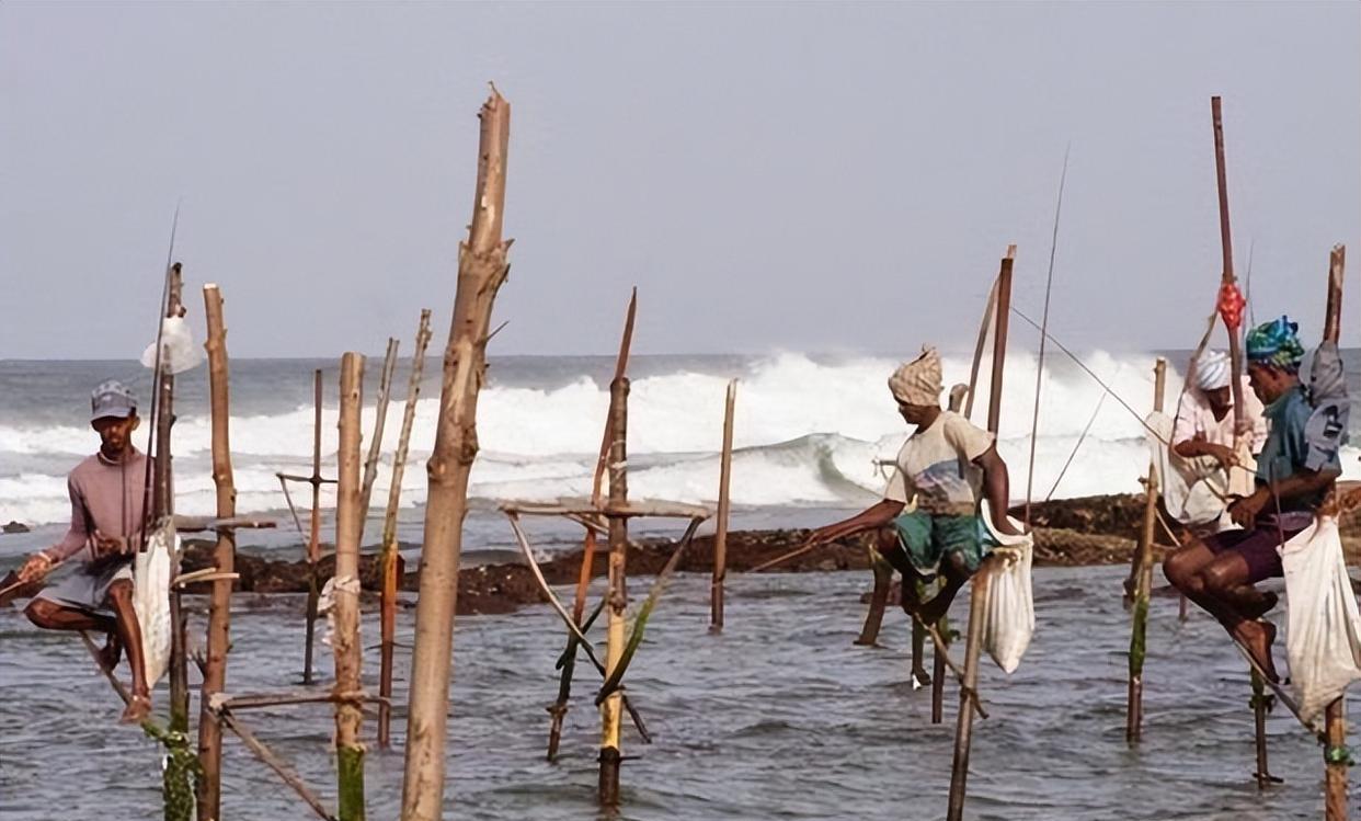 驴友|斯里兰卡“最牛”的捕鱼方式，如今却让人大失所望，发生了什么？