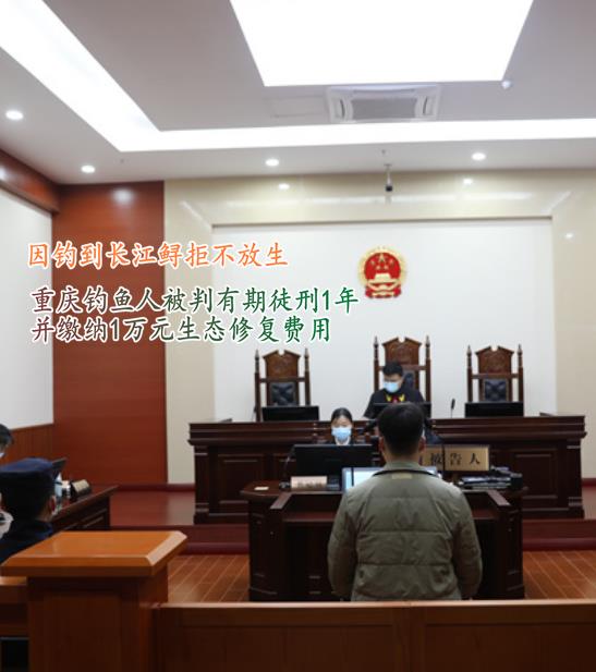 长江鲟|判1年罚1万！重庆男子钓起长江鲟后拒不放生，随后被身边人举报