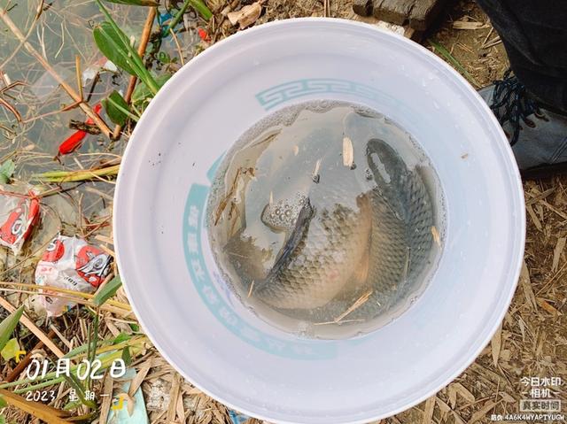 饵料|走心的饵料，果然符合“大家伙”的胃口