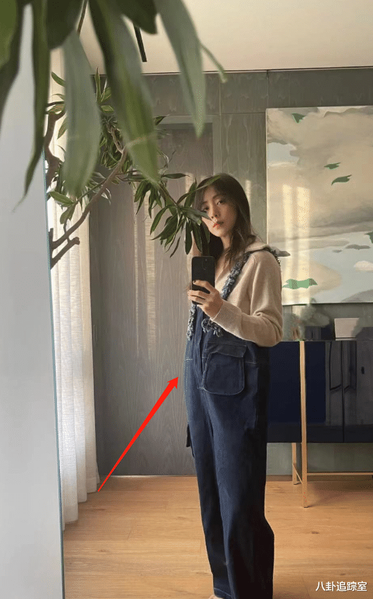 何洁|45岁孙莉晒大肚照引四胎争议,比例失调面憔悴,网友:黄磊太不节制了!