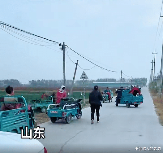 山东:大爷手持铁锨拦路喊话,开三轮车的谁走劈死谁,疑似村民偷菜后被逮正着