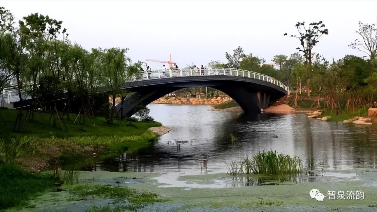 荷花|郭进拴|故乡的抱玉河