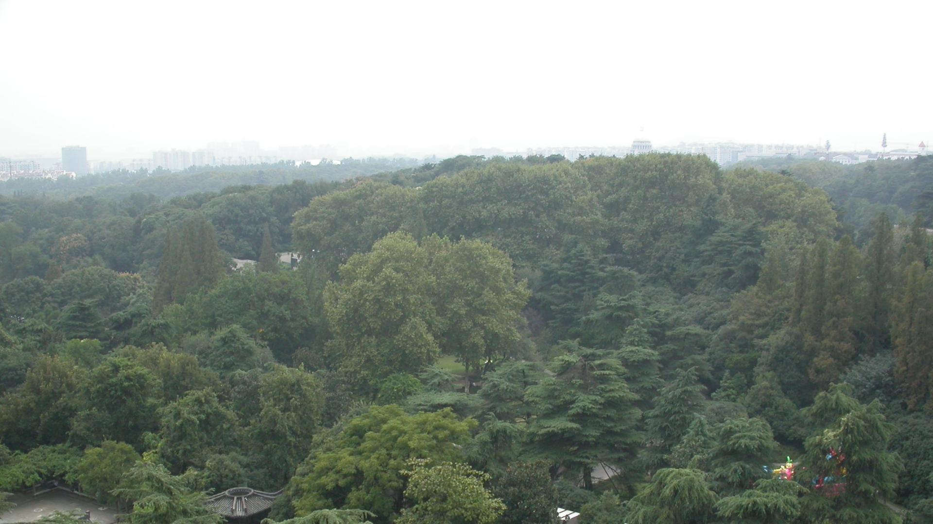 丹东|三番五次去丹东，去了还想去（３）