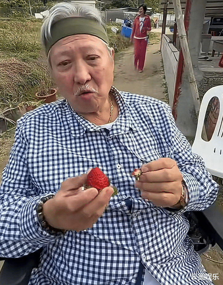 洪金宝|洪金宝前妻与儿孙在日本过年!吃鱼生采蘑菇很惬意,穿红衣精神好