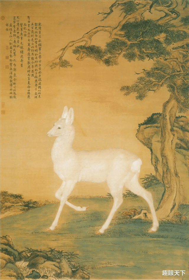 祥瑞之兆?“白狍”现身内蒙古,科学家:或许不是好事