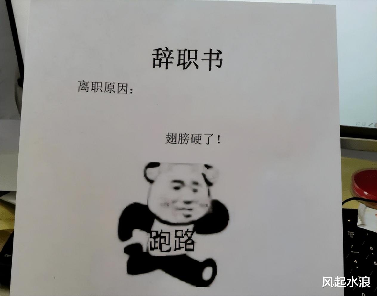 大学生|00后大学生离职申请:一个敢写,一个敢批