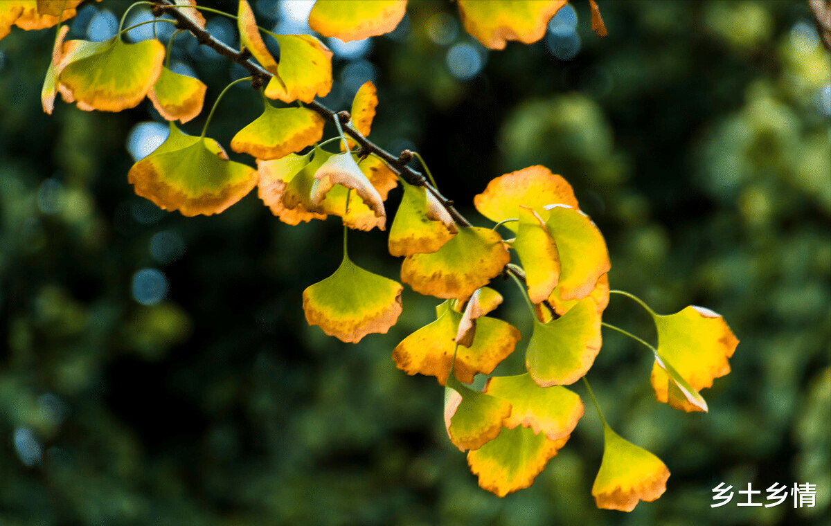 养生|人到中年，最高级的养生，不是睡觉，不是锻炼