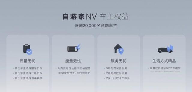 30万元高端市场的新选手,自游家NV有何特别之处?