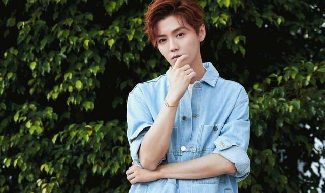 肖战|肖战粉丝欺负李易峰鹿晗粉丝?为了自嗨,肖战粉丝在饭圈以一挑二