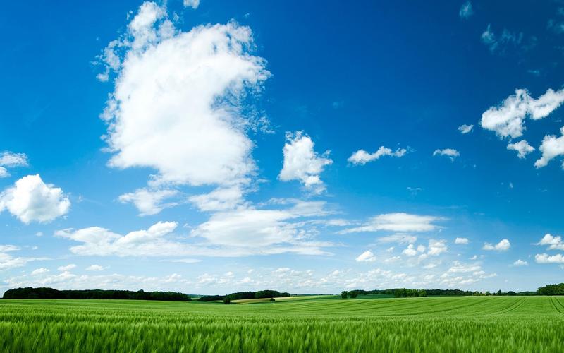 生辰八字|生辰八字详细分析：一个内心脆弱，缺乏安全感的女人