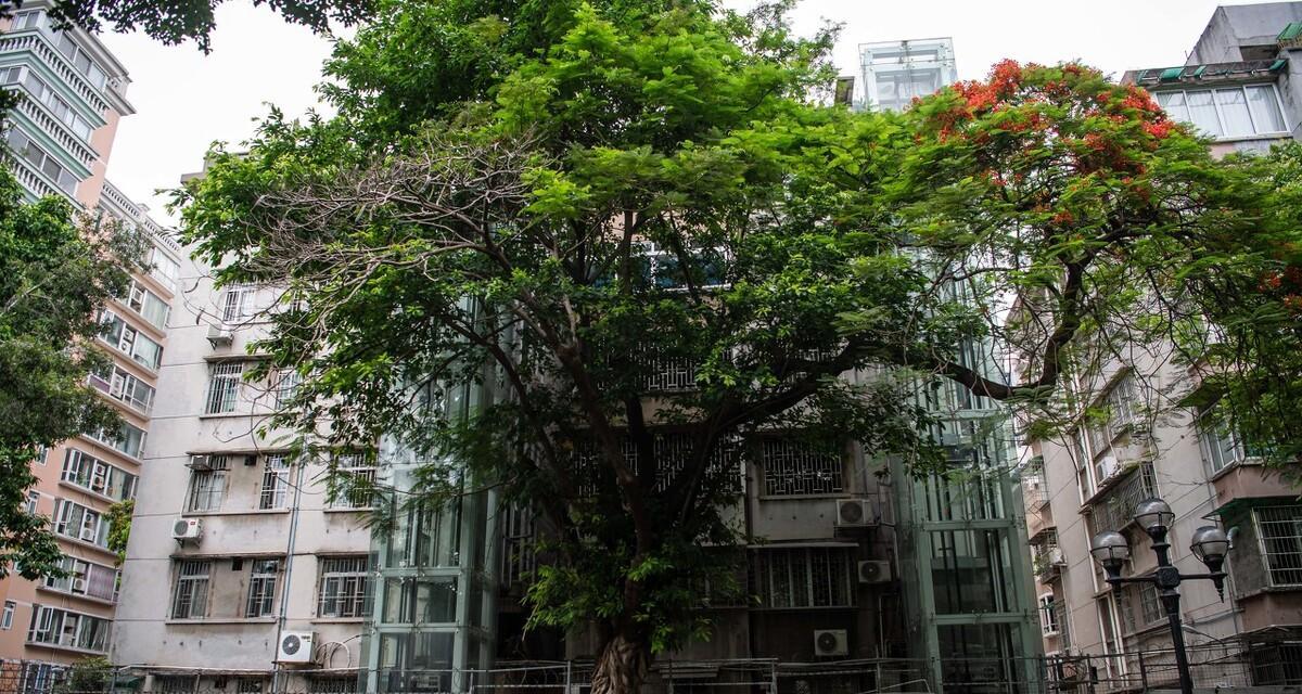 当初“强烈要求”装电梯的高层业主,为何装完却说后悔?