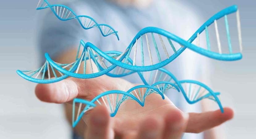 为何生物不进化为永生?科学家解释道:人类只是“基因的工具”