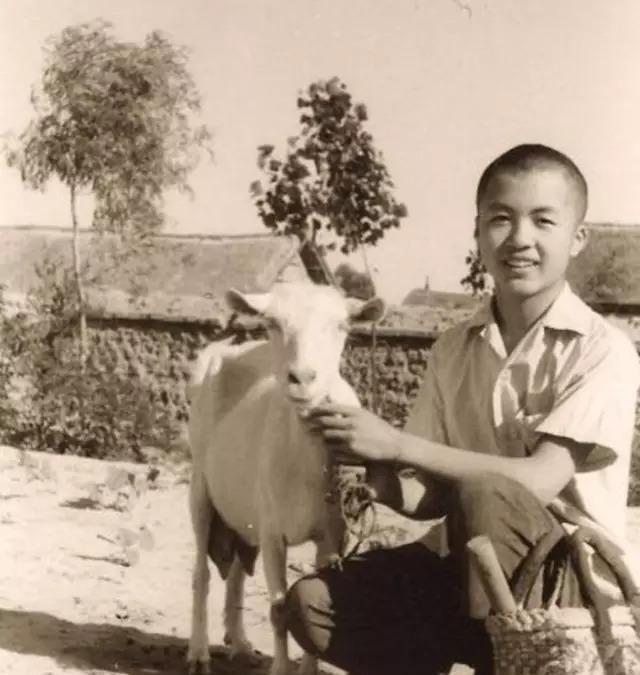 顾城生前拒绝抚养儿子,杀妻自尽前给儿子留下遗书:愿你别太像我