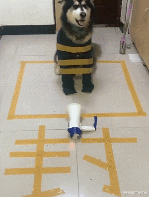 “在老家盖的房子已经完工了,可总觉得哪里不对劲...”这阳台