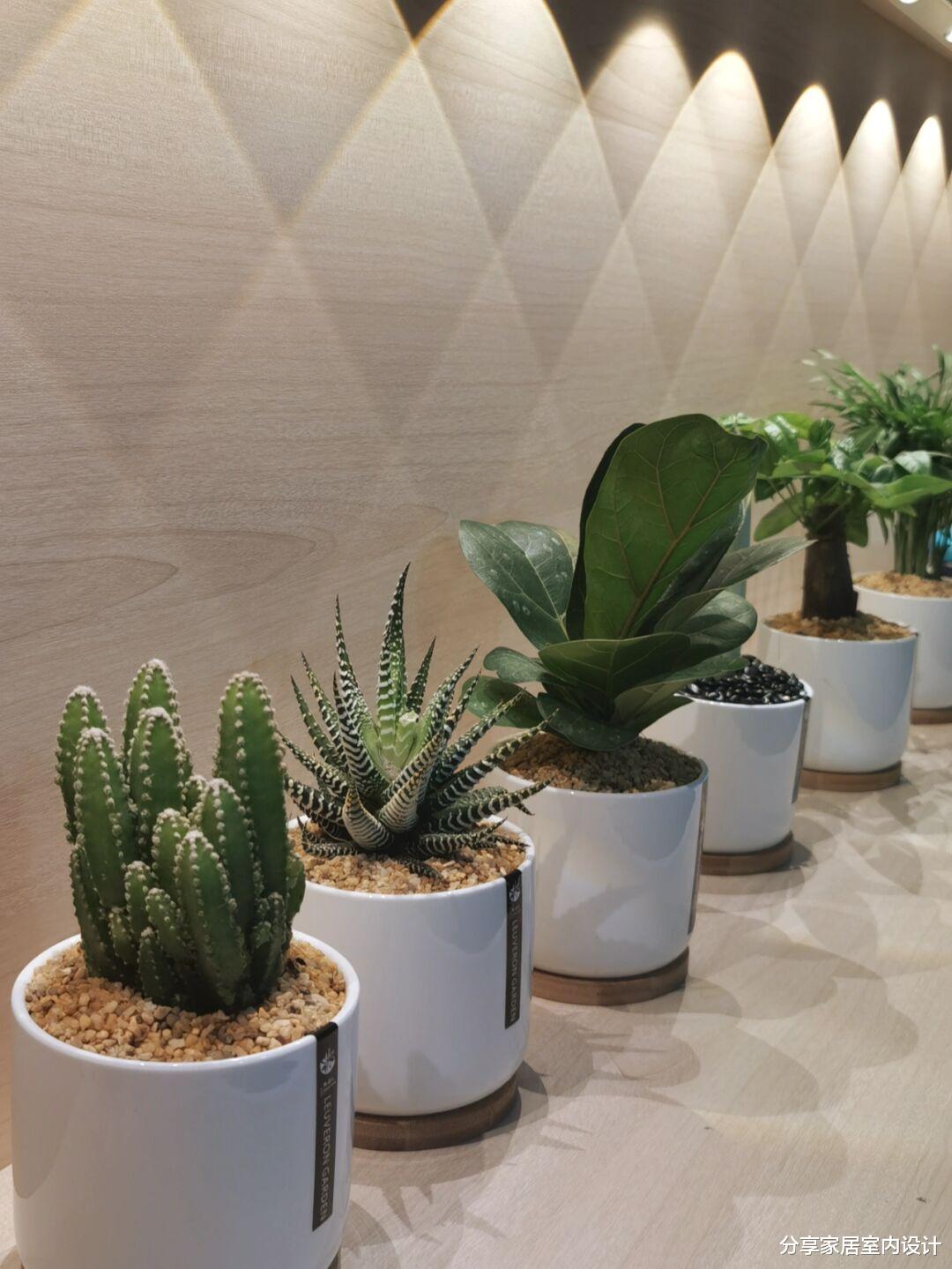 年后乔迁入住新房,放弃常规电视机选择投影仪,一家人都满意!