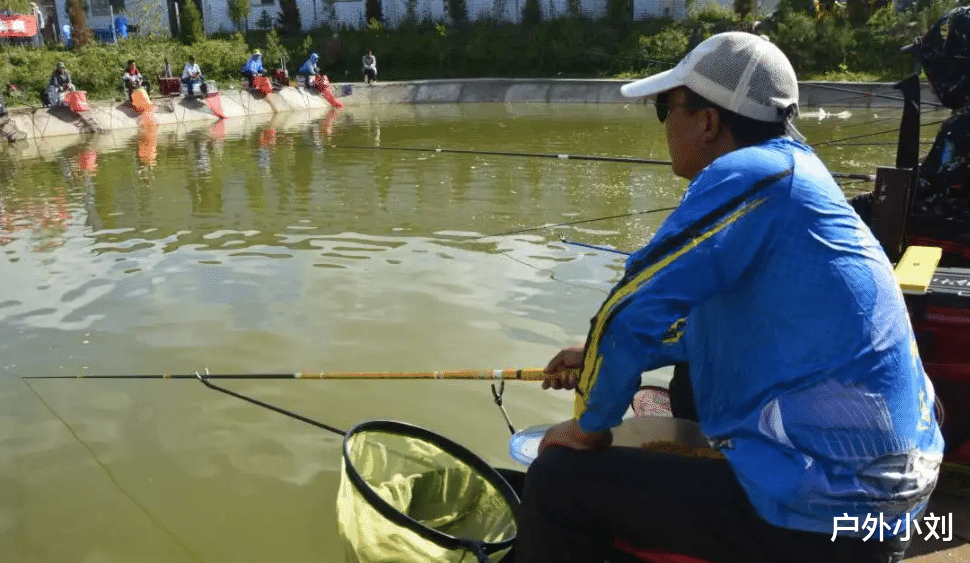 饵料|夏季高温如何钓混养塘?全程打浮,教你盘哭黑坑老板!