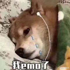 生活好物分享:那些提升居家幸福的好物