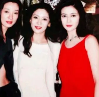 陈岚|向华强“红颜知己”陈岚