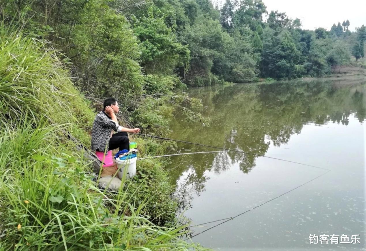 泥鳅|为什么水里有很多的鱼却不咬钩?这些原因没搞懂,想钓到鱼不容易
