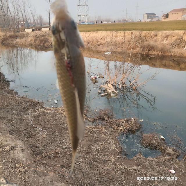 |初春野钓：钓深钓浅要灵活，这样钓渔获很理想