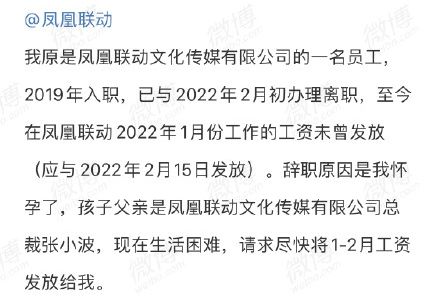 鹤唳华亭|小三终被“三”，这个总裁不简单