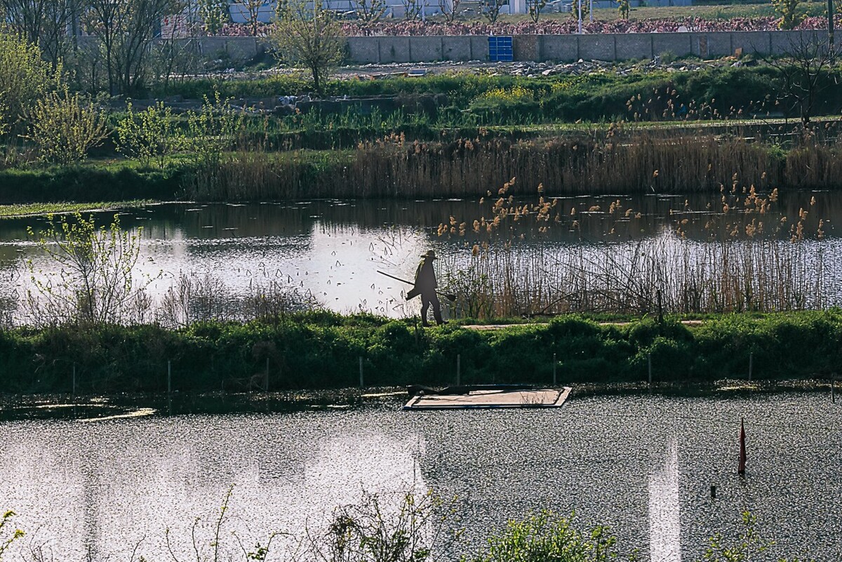 |一次夜钓遇到的灵异事，现在想起还心有余悸