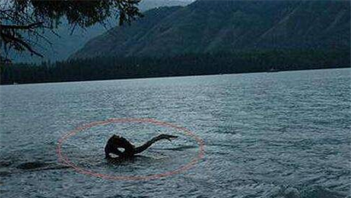 喀纳斯湖水怪的真相是什么？这水怪被称为喀纳斯水怪