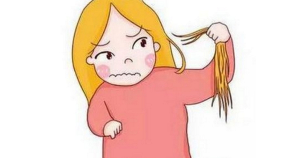 黑枣 五黑汤，春天把它吃起来，让你的一头秀发飘逸起来