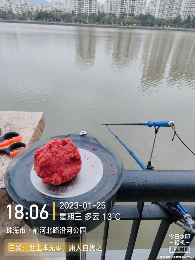 鳊鱼|小鱼群里的巨物，钓友这次超威武