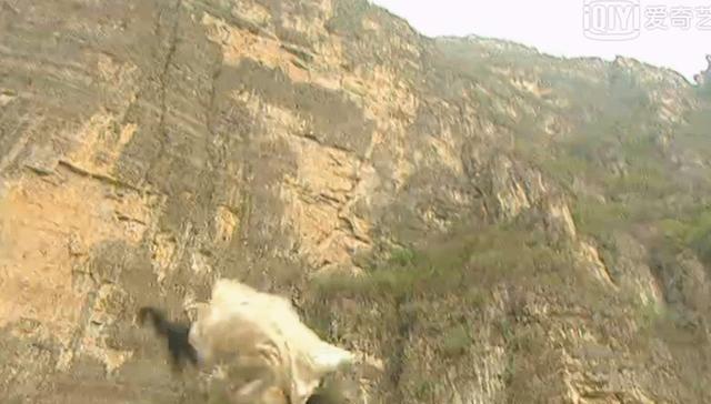 武侠|曾舜晞出演温瑞安武侠后，腾讯买下古龙10年版权，武侠要振兴了？