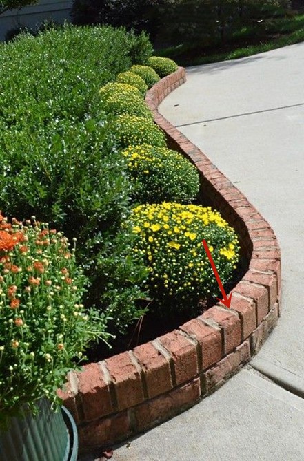 不要再对红砖有偏见了，给家里打造个绿化区，颜色好看又结实