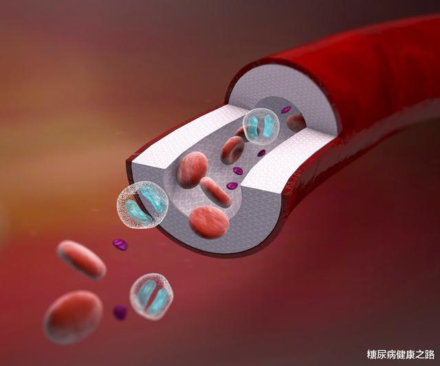 线粒体功能障碍引起糖尿病等多种疾病,运动可以优化线粒体功能