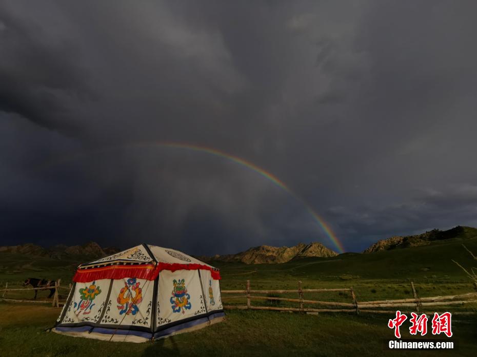 青海|青海都兰海寺花海雨后美景如画