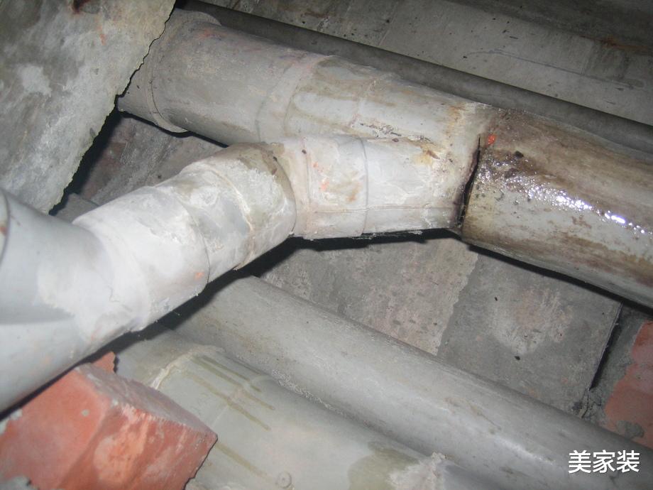 厕纸应该冲掉还是扔进垃圾桶?原来这么多年都做错了