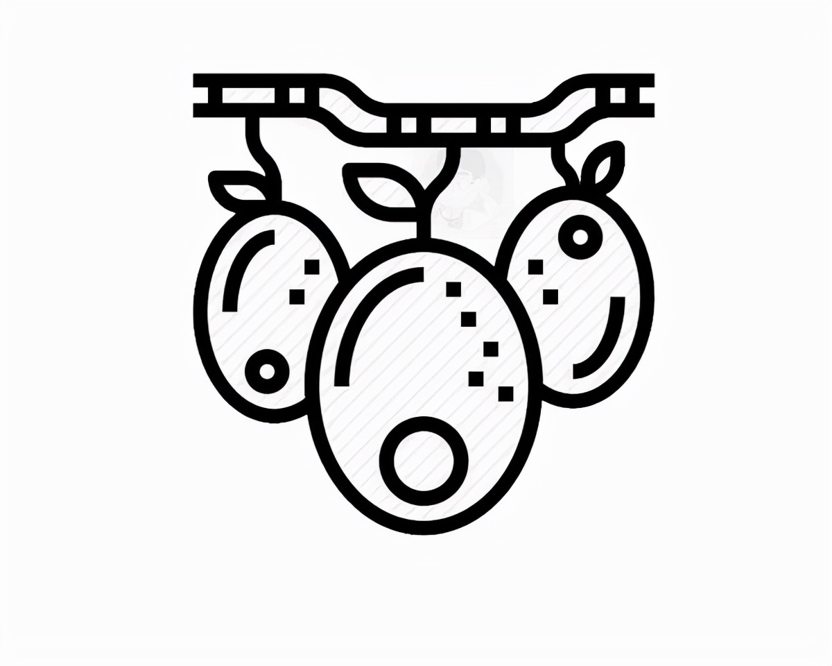 被年轻人追捧的橄榄油，实则只是商家忽悠你钱包的一个老套路