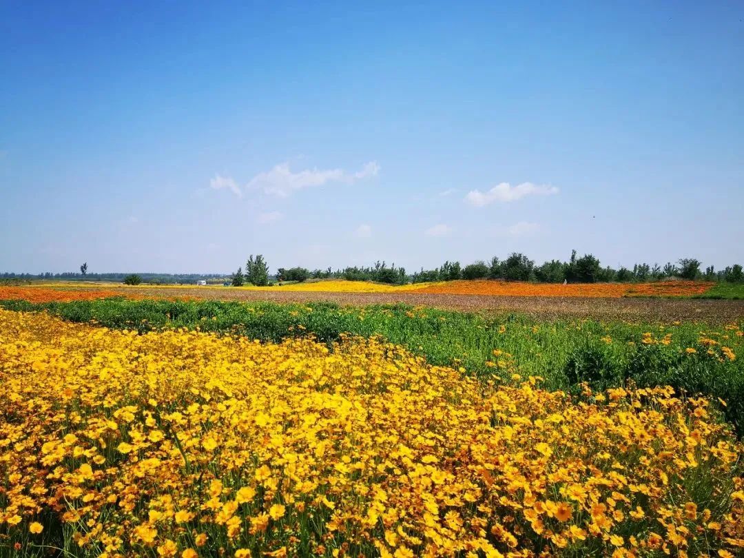 固安|夏日“新玩法”2.0版丨两天一晚！来固安这么玩才够嗨！