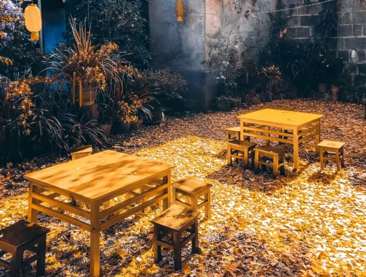 章若楠|秋天这个浪漫的季节,怎能少得了来一场与杏叶的约会