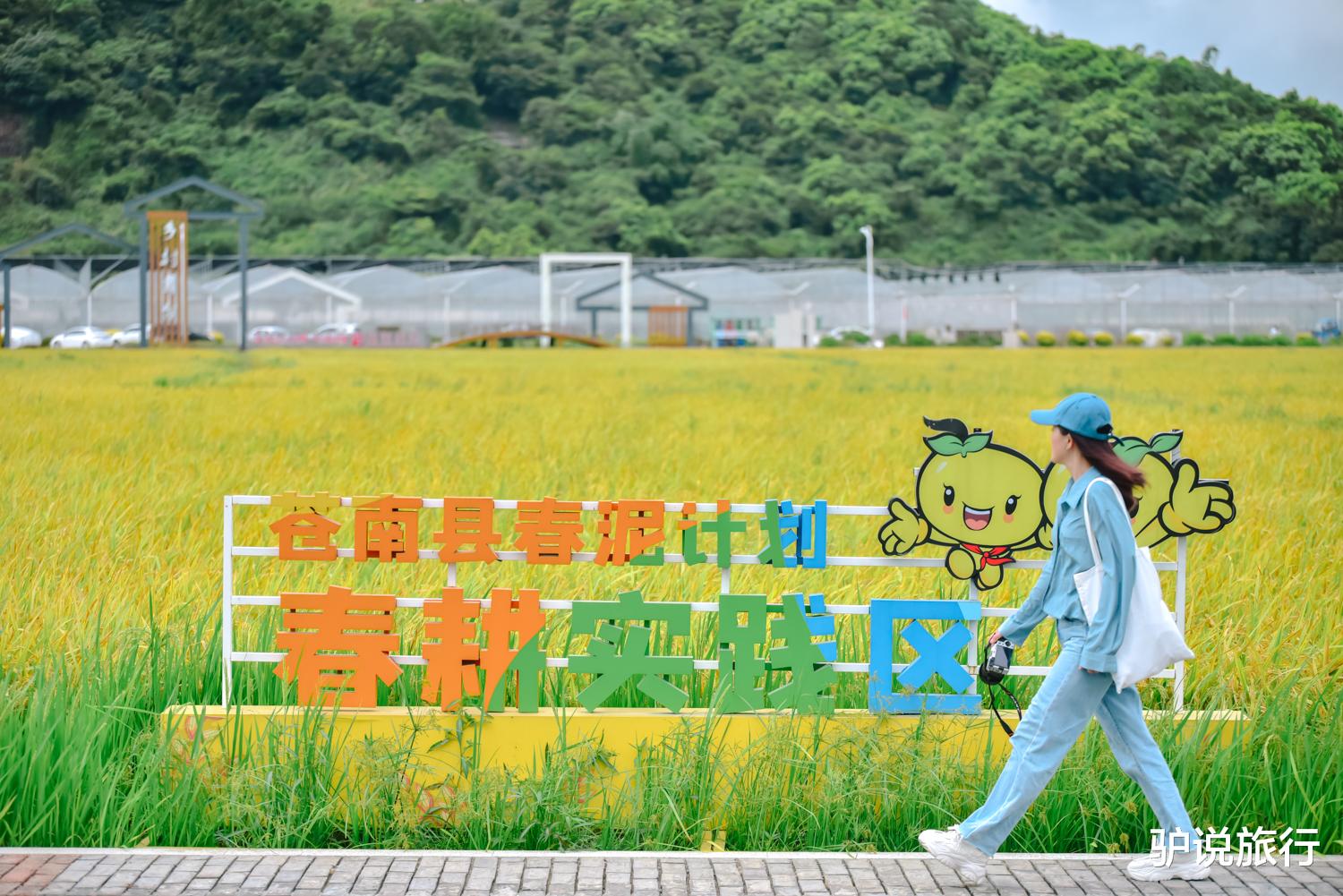 沙滩|2022浙南看一看，苍南第一站！浙夏海滨玩水吃海鲜、清凉遛娃自驾游